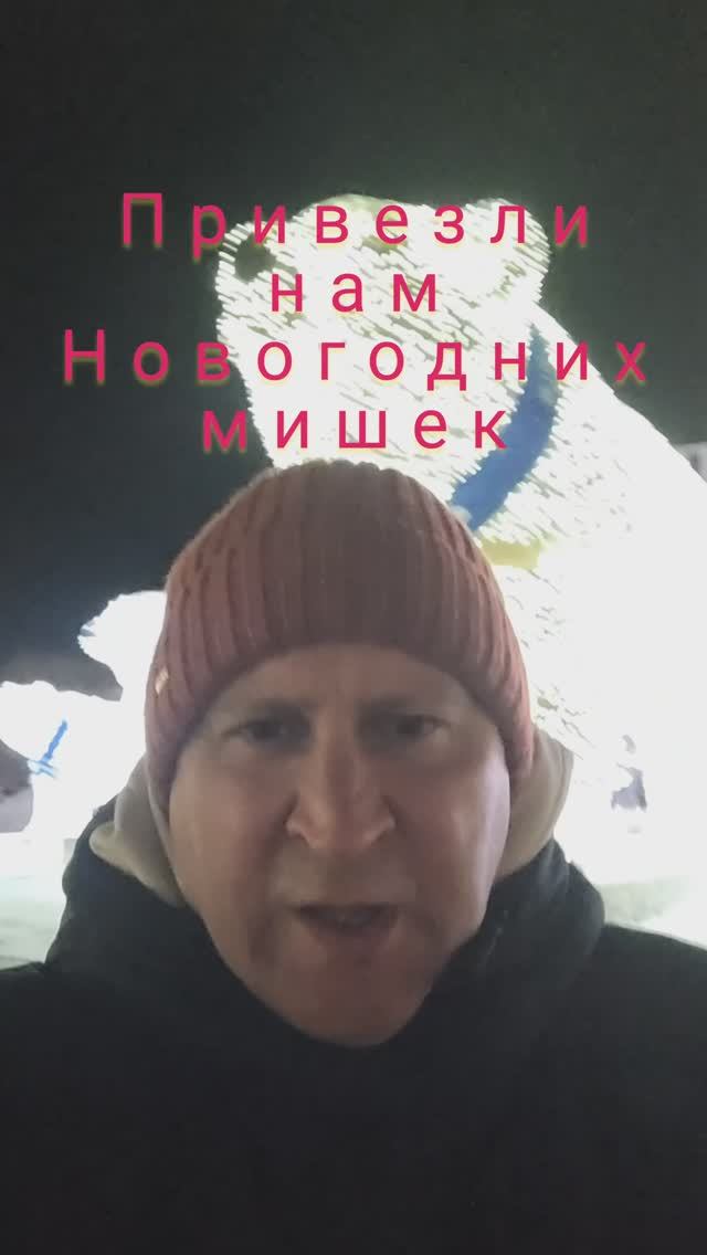 Привезли нам новогодних медведей#shorts
