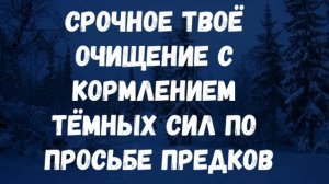 СРОЧНОЕ ТВОЁ ОЧИЩЕНИЕ С КОРМЛЕНИЕМ ТЁМНЫХ СИЛ ПО ПРОСЬБЕ ПРЕДКОВ