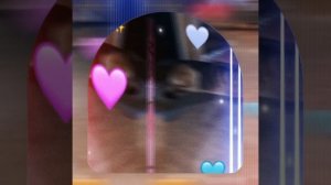 1000042082.mp4 (Собака смотрит на монтаж электропроводки (монтаж п/переключателя) в доме А-фрейм)