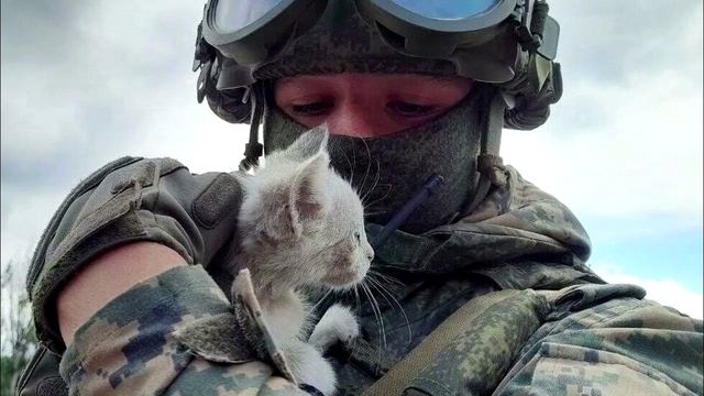 КОТЁНОК В КОЛОДЦЕ👍(К.Прилепина)👍👍👍