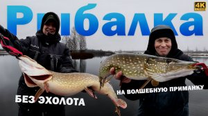 Рыбалка БЕЗ ЭХОЛОТА и НА ВОЛШЕБНУЮ ПРИМАНКУ