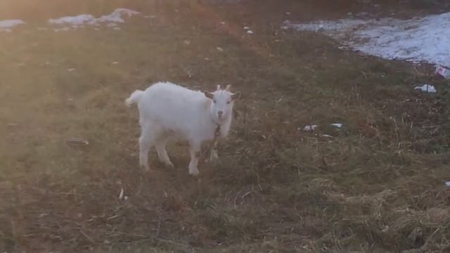 Весна в январе Россия не мерзнет