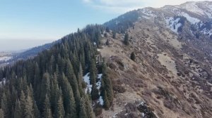 Дикие места, дикие звери, 6 декабря 2025