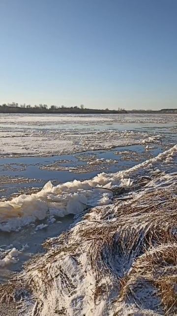 С шумом идёт шуга по Вятке. 08.12.2025 года. Натуральный звук.