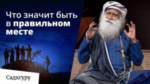 Как окружение влияет на тебя