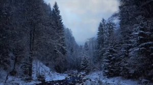 Что нельзя делать с деньгами 11 декабря_