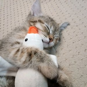 ну
   и
      че