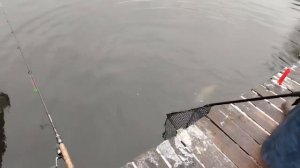 11.12.25 г. РК Волна.