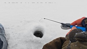 Мощный поклёв зимой. Зимняя Рыбалка. Хватаю Рыбу Руками. Русская Рыбалка в Сибири на Браском