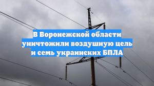В Воронежской области уничтожили воздушную цель и семь украинских БПЛА