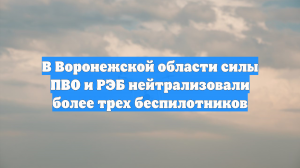 В Воронежской области силы ПВО и РЭБ нейтрализовали более трех беспилотников