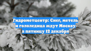 Гидрометцентр: Снег, метель и гололедица ждут Москву в пятницу 12 декабря