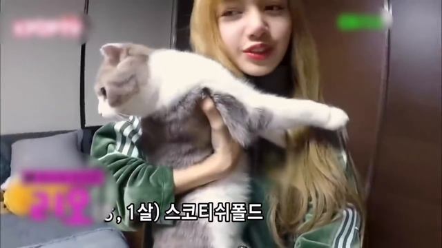 BLACKPINK (Блэкпинк) - 10 Вещей Kоторые Вы Незнали об этих Девушках