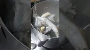 Отварной мойва с икрой