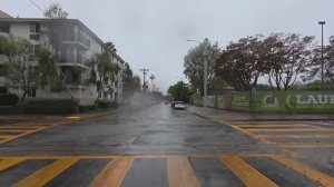 🇺🇸 Лос-Анджелес, Калифорния - дождь, Голливудские холмы, Бель-Эйр, Беверли-Хиллз, Брентвуд / 2025