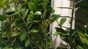 Пусть всё ушло...