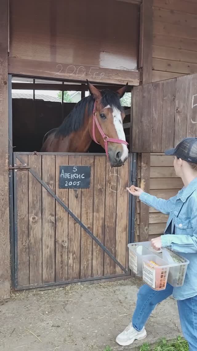 Сергей и Алиса | История двух сердец | Воспоминания на всю жизнь | Ранчо Авенсис | Часть 3