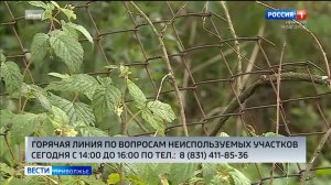 Нижегородцам расскажут о новых правилах для неиспользуемых земель