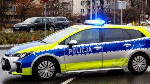 RMF: сотрудник Эрмитажа задержан в Польше по требованию Украины