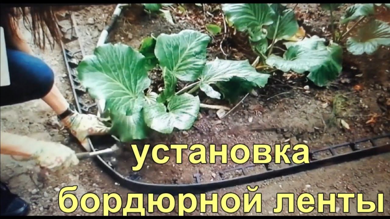Бордюр для клумбы за полчаса. Справится даже девушка