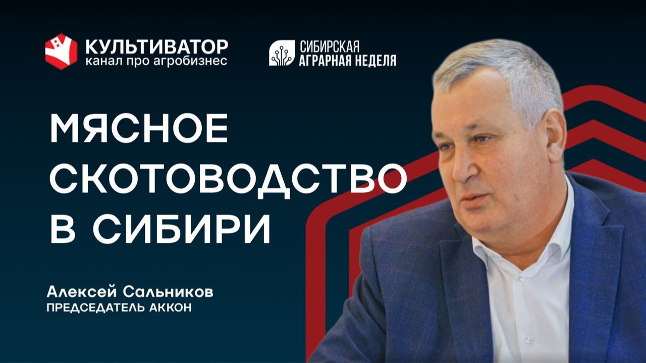 Как содержат ангусов в Сибири? | Мясное скотоводство | Алексей Сальников | АККОН
