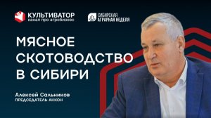 Как содержат ангусов в Сибири? | Мясное скотоводство | Алексей Сальников | АККОН