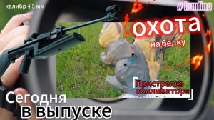 Охота на белку!!!