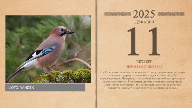 11.12.2025 Народный календарь