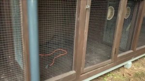 Строительство большого вольера для белок.Серия 7. Вольер готов.