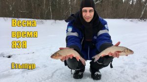 Весенний язь. Ловля язя и подъязков на ЯМАЛе. Зимняя рыбалка 2020.