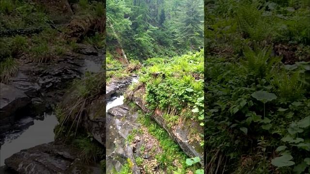 Сочи 2019 смотреть онлайн