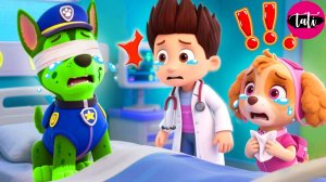 Щенячий патруль и Маршалл. Залипательное видео. Мультфильм для детей и малышей. Анимация