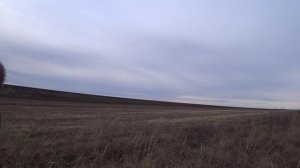 Охота на зайца по первому морозу