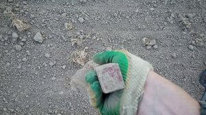 26. Металлокоп с Quest X5. Небольшая прогулка по полю в жару.