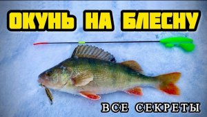 Окунь на блесну. Зимняя рыбалка. Техника и тактика ловли на вертикальную блесну со льда
