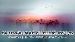 РАСКРЫТИЕ ТВОЕЙ ИСТИННОЙ ПРИРОДЫ #ченнеленг, #пробуждение, #высшеея, #хроникиакаши