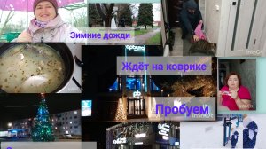 В Ейске,атмосферно- блеск огней🌲Ждёт на коврике...Домашние хлопоты...