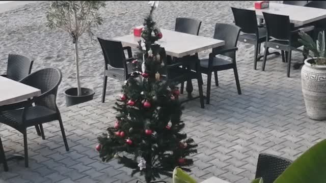 ЗИМНЯЯ АЛАНЬЯ. ТУРЦИЯ 2025.