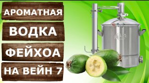 Мацерат из Фейхоа на самогонном аппарате Вейн 7.