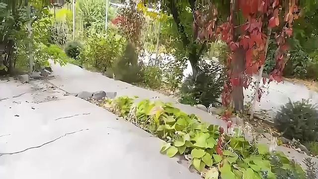 ПуВРД реактивный двигатель работа на пропане .