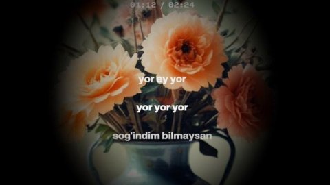 RUZIMUKHAMMADALI YOR ,,, yo'l va so'z-muallifi (2026 musica avtor)