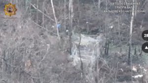 Уничтожение вражеских огневых позиций с личным составом противника. Харьковское направление😎🇷🇺