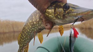 Смена места РЕШИЛА ВСЕ! Думал уеду пустым, тут ПОПЕРЛО!