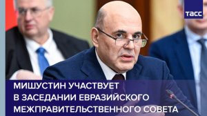 Мишустин участвует в заседании Евразийского межправительственного совета