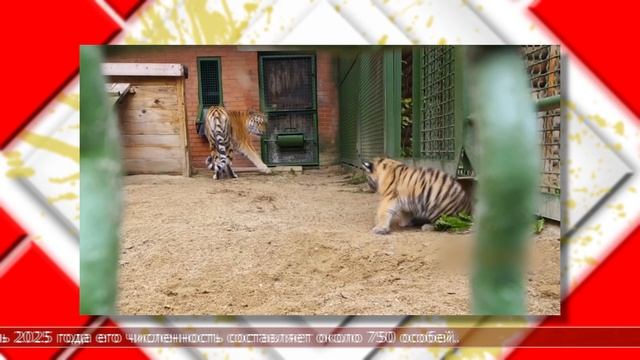 11.12.2025 Мировые новости