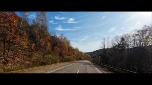 Осенняя рыбалка в Приморской тайге