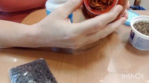 ✅МОИ СЕМЕНА ЦВЕТОВ СЕЗОНА 2025