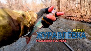 Осенний хариус на реке Журавлёвка 2025 #хариус #горнаярыбалка #ленок