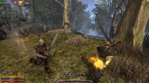 Проклятый ополченец