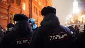 От елки до салюта: пять штрафов, которые могут получить россияне на Новый год